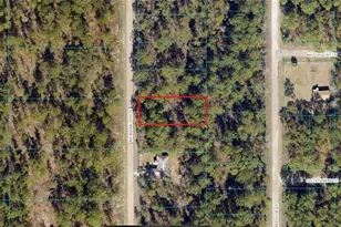 00 SW Buena Vista Rd, Dunnellon, FL 34431 - Photo 1