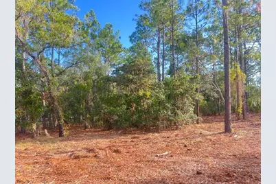 Levy Street, Williston, FL 32696 - Photo 24