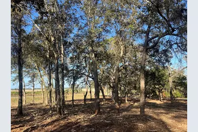 Levy Street, Williston, FL 32696 - Photo 14