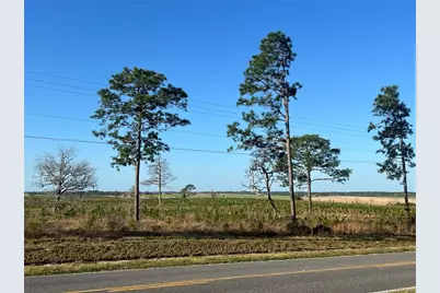 Levy Street, Williston, FL 32696 - Photo 10