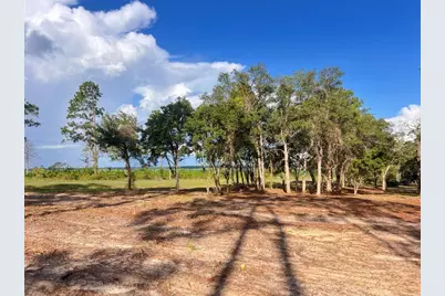 Levy Street, Williston, FL 32696 - Photo 2
