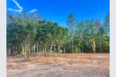 Levy Street, Williston, FL 32696 - Photo 22