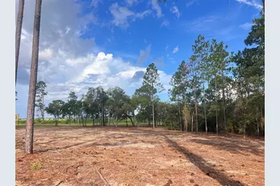 Levy Street, Williston, FL 32696 - Photo 16