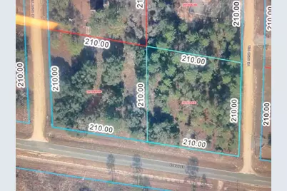 Levy Street, Williston, FL 32696 - Photo 26