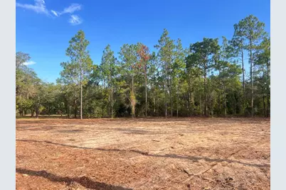 Levy Street, Williston, FL 32696 - Photo 20
