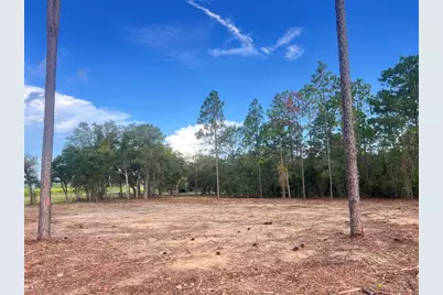 Levy Street, Williston, FL 32696 - Photo 18