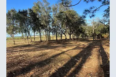 Levy Street, Williston, FL 32696 - Photo 12