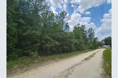 0000 NE 40th Lane, Williston, FL 32696 - Photo 4