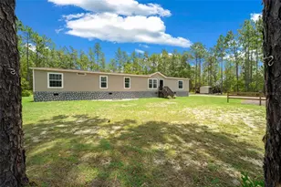 105 Buck Run Trail, Hawthorne, FL 32640 - Photo 6
