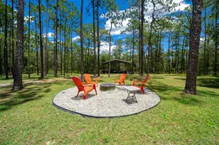 105 Buck Run Trail, Hawthorne, FL 32640 - Photo 10