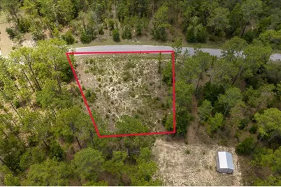Ne 4th Lane, Williston, FL 32696 - Photo 2