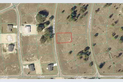 Maple Ln Way, Ocklawaha, FL 32179 - Photo 2