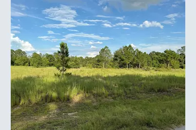 Maple Ln Way, Ocklawaha, FL 32179 - Photo 4