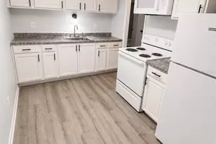 420-420 Mills St, Leesburg, FL 34748 - Photo 4