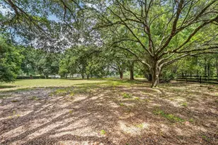 6968 SW 99th St, Ocala, FL 34476 - Photo 70