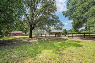 6968 SW 99th St, Ocala, FL 34476 - Photo 60