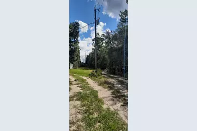 Tbd NE 201st Place, Fort Mc Coy, FL 32134 - Photo 6