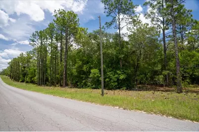 150th Avenue, Williston, FL 32696 - Photo 2