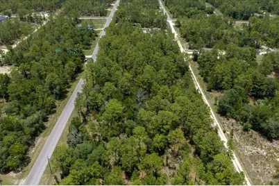 150th Avenue, Williston, FL 32696 - Photo 8