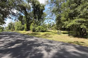 4934 N Tanglewood Ave, Hernando, FL 34442 - Photo 12