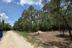 Tbd NE 122nd Ave, Williston, FL 32696 - Photo 12