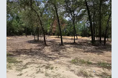 Tbd NE 122nd Avenue, Williston, FL 32696 - Photo 16
