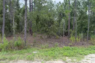 00 SW 131 Ave, Ocala, FL 34481 - Photo 1