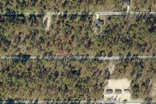 00 NW Foxglove Ln, Dunnellon, FL 34431 - Photo 1