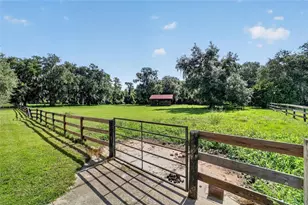 11105 W Hwy 326, Ocala, FL 34482 - Photo 60