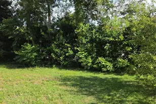 [Address not provided], Ocala, FL 34476 - Photo 8