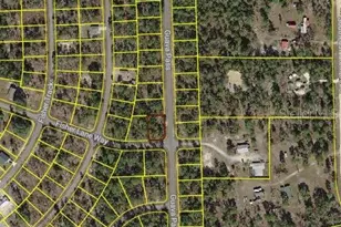 Blk 1222 Lot 14 Fisher Ln Way, Ocklawaha, FL 32179 - Photo 1