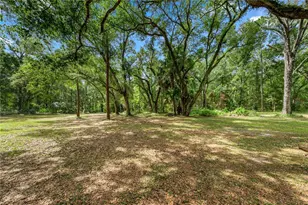 7850 NE 178th Terrace, Williston, FL 32696 - Photo 14