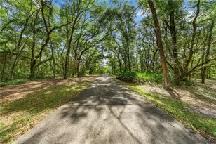 7850 NE 178th Terrace, Williston, FL 32696 - Photo 10
