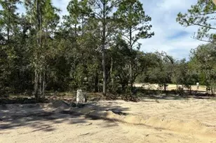 12188 SW 81st St, Dunnellon, FL 34432 - Photo 18