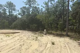 12188 SW 81st St, Dunnellon, FL 34432 - Photo 8