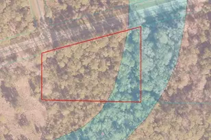 8500 E Hwy 318, Citra, FL 32113 - Photo 20