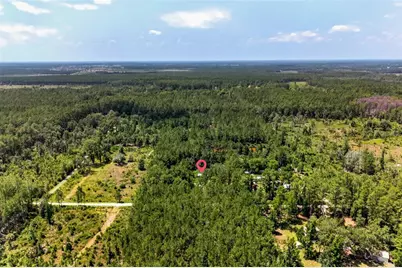 7320 NE 137th Place, Citra, FL 32113 - Photo 10