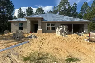 23308 NW Amberjack, Dunnellon, FL 34431 - Photo 10