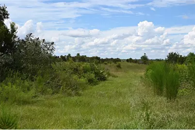 County Line Road E, Fort Meade, FL 33841 - Photo 16