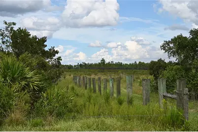 County Line Road E, Fort Meade, FL 33841 - Photo 12