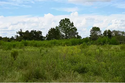 County Line Road E, Fort Meade, FL 33841 - Photo 22