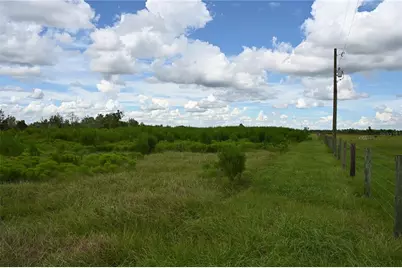 County Line Road E, Fort Meade, FL 33841 - Photo 8