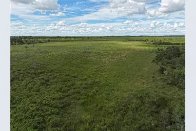 County Line Road E, Fort Meade, FL 33841 - Photo 6