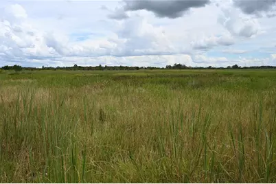 County Line Road E, Fort Meade, FL 33841 - Photo 18