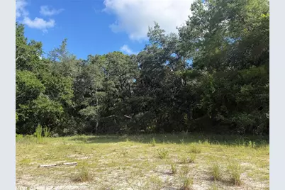 5967 NE 63rd Street, Silver Springs, FL 34488 - Photo 14