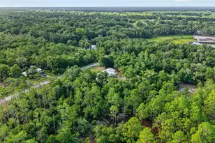 4500 SW Freshwater Ct, Dunnellon, FL 34431 - Photo 60