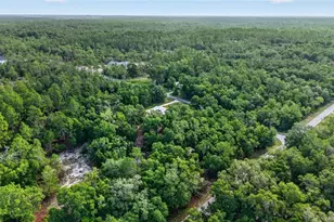 4500 SW Freshwater Ct, Dunnellon, FL 34431 - Photo 58