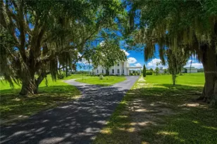 12345 NE 14th Ave, Anthony, FL 32617 - Photo 6