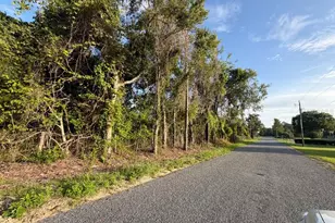 NE 160th Ave, Williston, FL 32696 - Photo 1