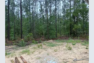 13510 SW 64th Street Road, Ocala, FL 34481 - Photo 8